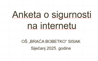 Anketa o sigurnosti na internetu