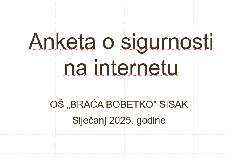 Anketa o sigurnosti na internetu