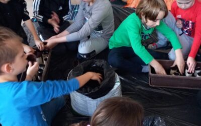 2. b na radionici „Knjižnica i vrt“